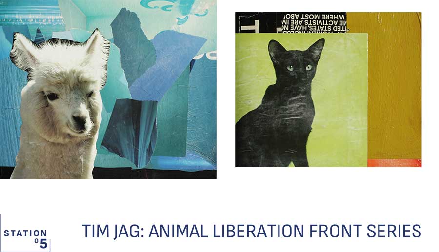 Tim Jag: Animal Liberation Front Series Postcard with white llama and black cat